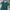 Polo Ralph Lauren Casual Polo Shirt Pria Green Blue