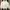 Japanese brand Vintage Casual Sweater Pria white cream photo 1