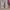 Converse Streetwear Casual Sneakers Pria white photo 3