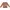 Minimalist Sweatshirt Pria Brown