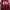 Levi's Streetwear Casual Sweatshirt Pria red photo 1