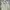 Mountain Hardwear Vintage Y2K Vest Pria khaki photo 5