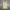 Mountain Hardwear Vintage Y2K Vest Pria khaki photo 4