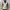 Mountain Hardwear Vintage Y2K Vest Pria khaki photo 2