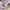 Acme De La Vie  Streetwear Luxury T-shirt Wanita pink photo 6