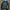 Vintage Casual Harrington jacket Pria black photo 4