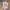 Adidas Vintage Streetwear Hat Pria tan photo 1