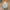 Adidas Vintage Streetwear Hat Pria tan photo 5