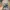 Adidas Vintage Streetwear Hat Pria tan photo 6