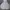Off-White Luxury Hoody Pria White