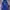 Adidas Streetwear Hoody Pria blue photo 2