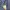 Adidas Streetwear Hoody Pria blue photo 5