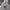 Dickies Avant Garde Hoody Pria white photo 2
