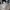 New Balance Streetwear Sportswear Sneakers Pria white photo 1