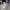 New Balance Streetwear Sportswear Sneakers Pria White