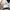 New Balance Streetwear Sportswear Sneakers Pria white photo 4