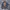 Levi's Vintage Denim jacket Pria navy red photo 1
