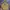Adidas Streetwear Hoody Pria yellow photo 1