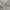thisisneverthat Streetwear Casual Hoody Pria gray photo 3