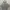 Thisisneverthat Streetwear Casual Hoody Pria Gray