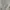 thisisneverthat Streetwear Casual Hoody Pria gray photo 4