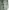 GAP Sportswear Puffer jacket Pria green photo 2