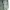 GAP Sportswear Puffer Jacket Pria Green