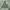PALACE Casual Hoody Pria green photo 3
