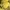 TapOut Vintage Y2K T-shirt Pria yellow photo 2
