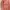 Casual Jumper Pria red yellow photo 1