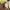 Vintage Y2K Trench coat Wanita yellow photo 4
