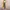 Vintage Y2K Trench coat Wanita yellow photo 1