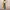 Vintage Y2K Trench Coat Wanita Yellow