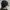 thisisneverthat Sportswear Casual Hat Pria black photo 2