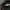 thisisneverthat Sportswear Casual Hat Pria black photo 6