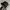 thisisneverthat Sportswear Casual Hat Pria black photo 1