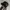 Thisisneverthat Sportswear Casual Hat Pria Black