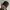 thisisneverthat Sportswear Casual Hat Pria black photo 3