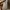 Vintage Luxury Trench coat Wanita brown photo 3