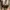 Vintage Luxury Trench coat Wanita brown photo 2