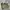 GU Streetwear Y2K Casual pants Pria green photo 6