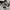 New Balance Sportswear Casual Sneakers Wanita gray photo 5