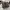 New Balance Sportswear Casual Sneakers Wanita gray photo 3