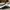 Nike Sportswear Sneakers Pria white black photo 2