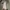 ZARA Biker Casual shirt Pria green gray photo 4