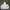 Vintage Streetwear Hoody Pria white photo 4