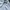 Adidas Luxury Casual Harrington jacket Pria white photo 3