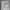 Luxury Minimalist Evening dress Wanita white photo 8