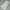 Luxury Minimalist Evening dress Wanita white photo 2