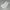 Luxury Minimalist Evening dress Wanita white photo 7